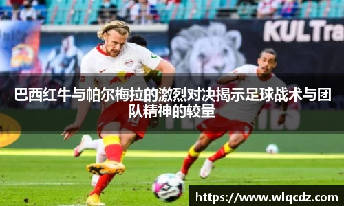 BB贝博登录入口