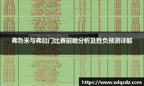 弗鲁米与弗拉门比赛前瞻分析及胜负预测详解