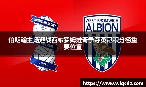 伯明翰主场迎战西布罗姆维奇争夺英冠积分榜重要位置