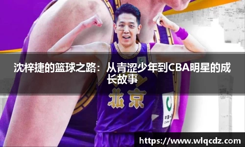 BB贝博登录入口
