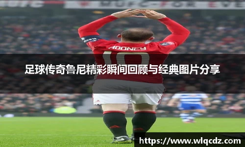 BB贝博登录入口